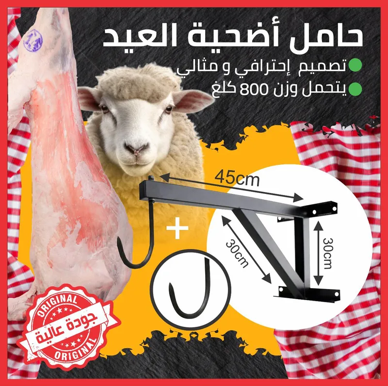 علاقة الخروف